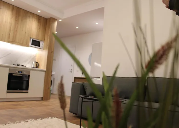 Simplicity Center 티라나